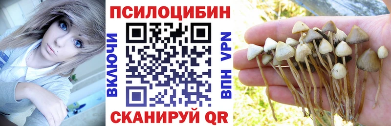 Купить  Гаврилов-Ям  Псилоцибиновые грибы мухоморы 